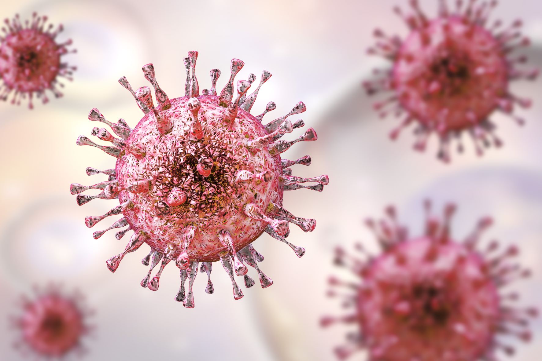 CMV Disease